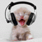 /album/emoticons%20engra%c3%a7ados/humorgato-ouvindo-musica-gif/